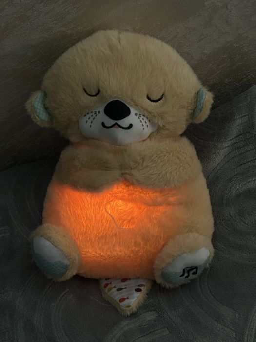 Спящая выдра