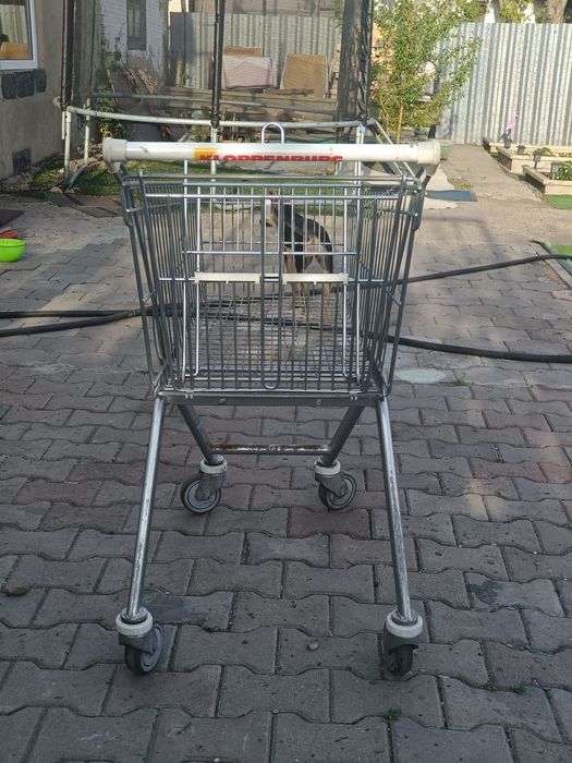 Тележка покупательская