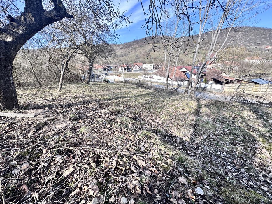 Vand teren intravilan 832 mp Almasu Sec, Comuna Cârjiti