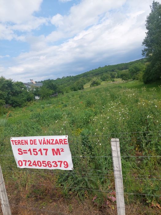 Curtișoara teren intravilan 1517 mp la stradă principală, preț excelent