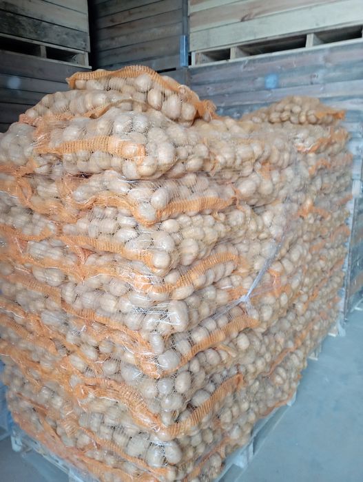 Cartofii extra ...calibru 60 plus.