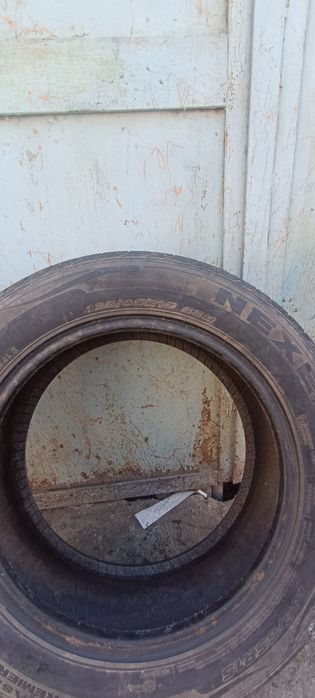 Продам 2 летних шины Nexen