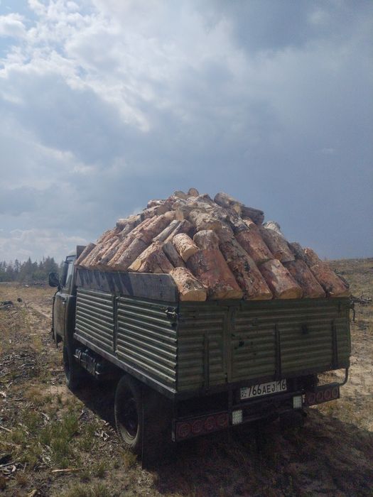 Продам дрова сухие.
