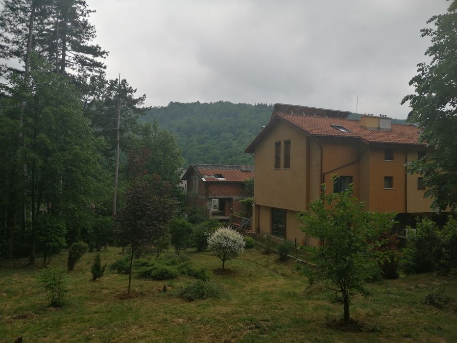 Косене на трева, почистване на дворове, поддръжка на градини и площи