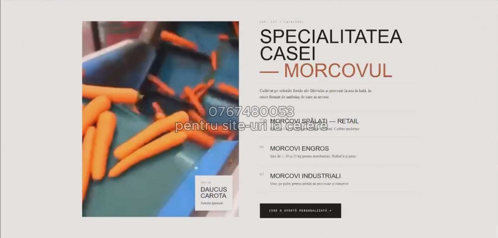 Creare site-uri moderne pentru firme + hosting + domeniu + publicare online (PREȚ FOARTE ACCESIBIL]