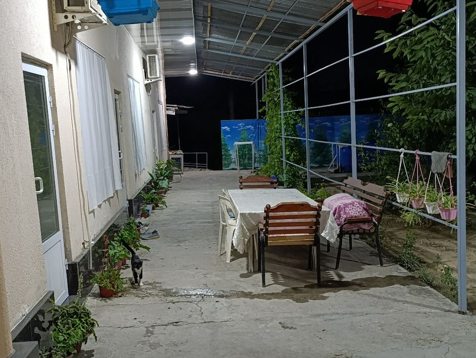 Nazarbek pushkin omad mahlasida hovli