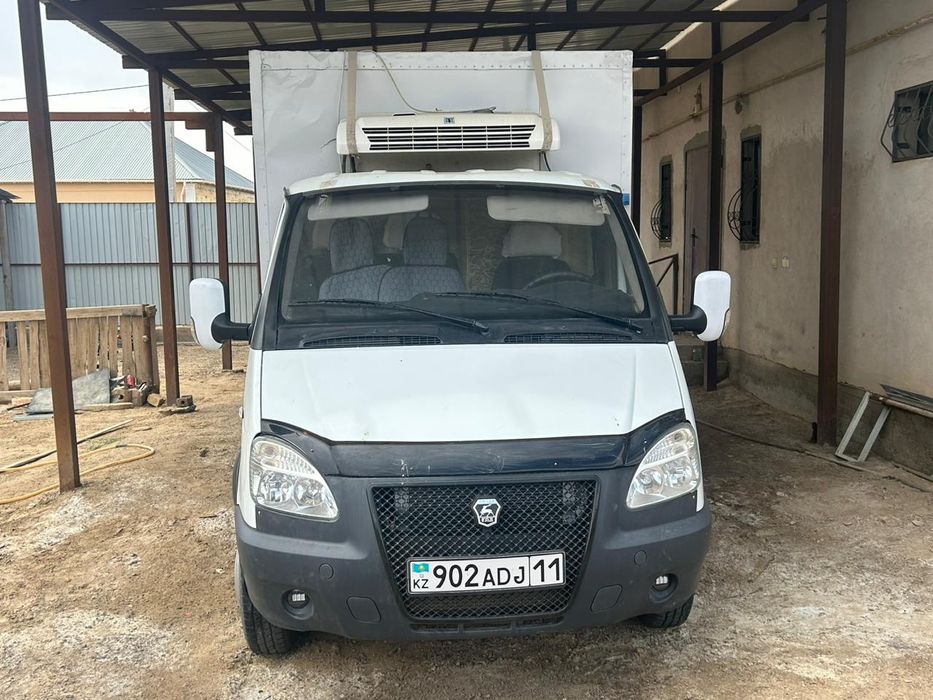 Газел маразелник