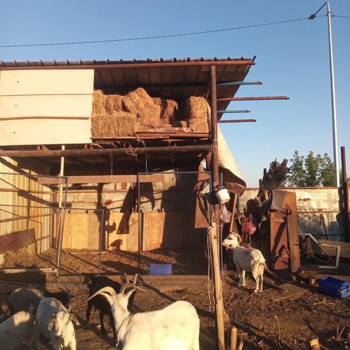 Продаю дом с большим участком
