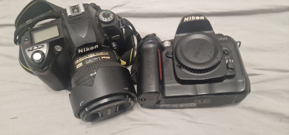 nikon d 70 si d100