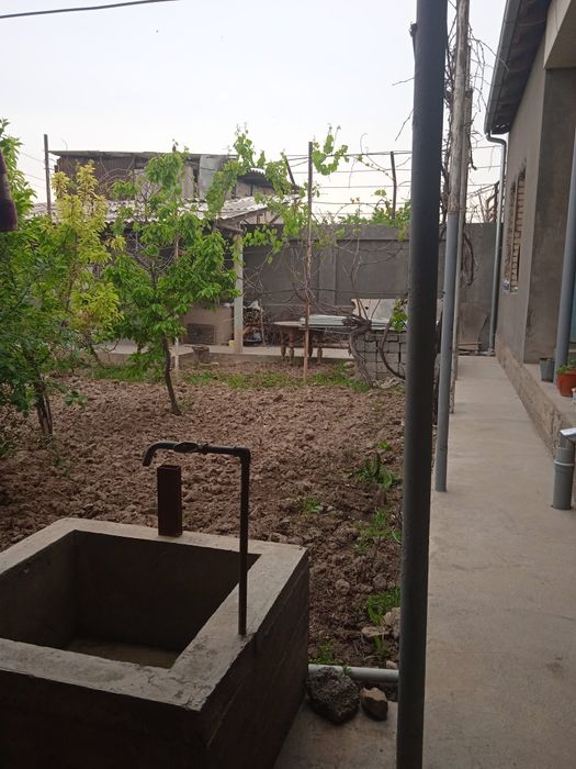 6 sutuqli uy sotiladi