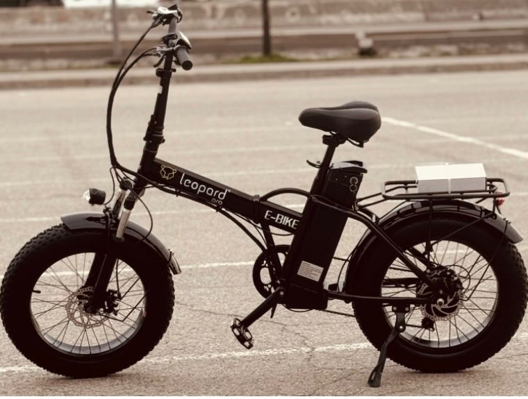 Leopard электромобил