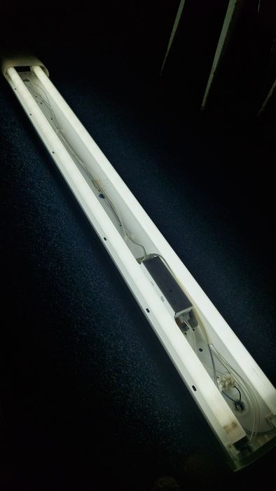 Лампа дневного света