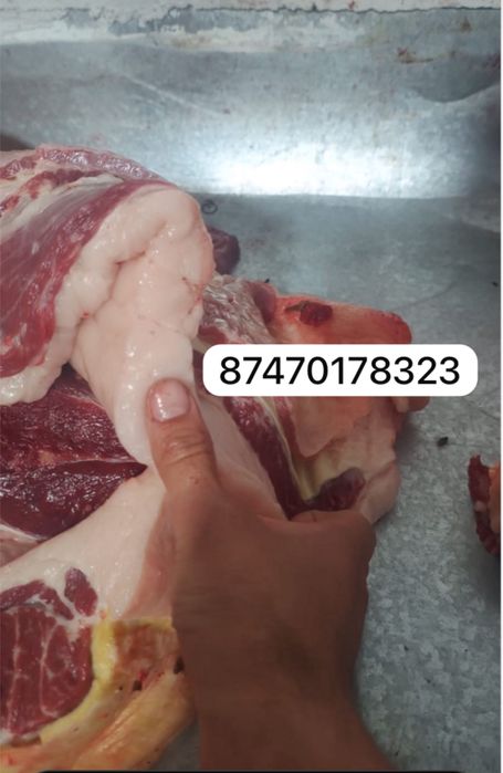 Жылқы еті , Соғым , Жілікте , Конина ,  Мясо, Байтал