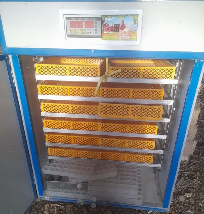Инкубатор сотилади. 1000 талик