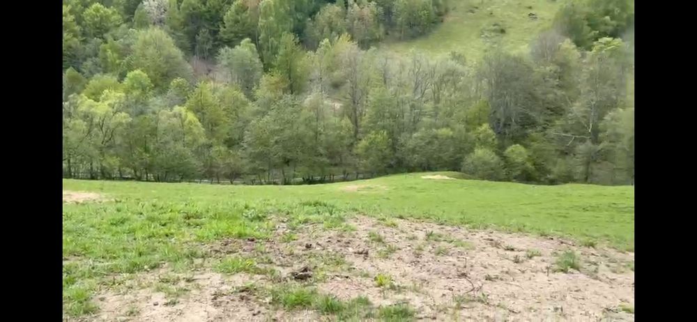 Teren la Transapuseana si unul in Mogoș Poieni