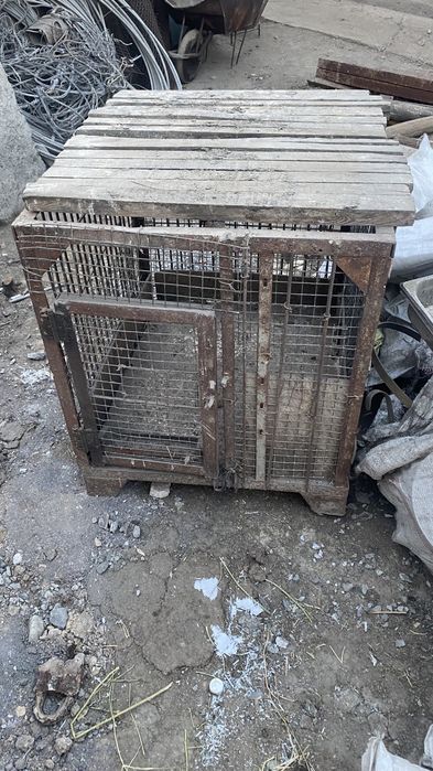 клетка клетки