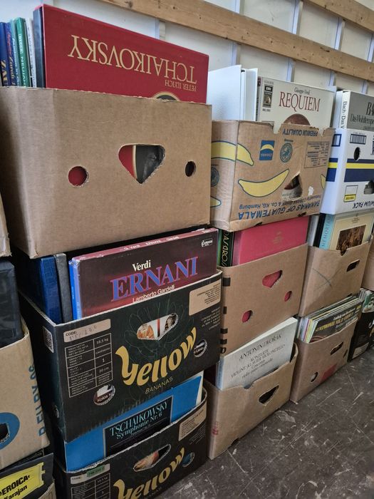 Vând Lot 100 Discuri Vinil colectie muzica clasica mxta pentru Pick-up