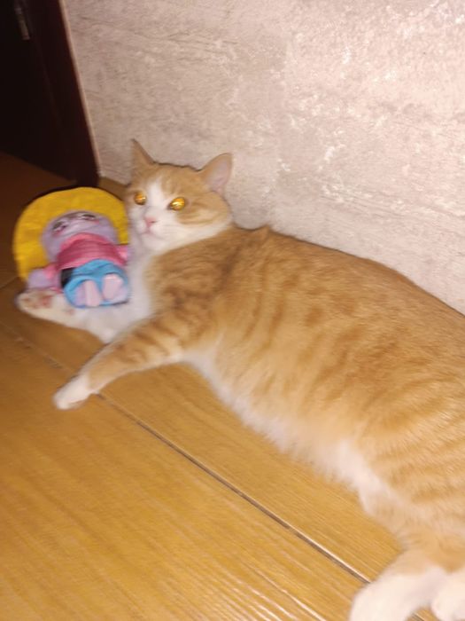 Фигурки бравл старс