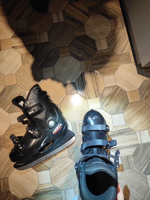 Patine barbati Fierce Crowned