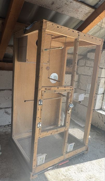 Cușcă papagali, ninfe