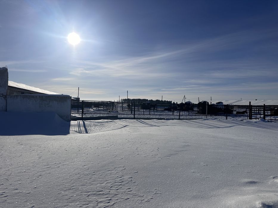 ПРОДАМ БАЗУ животноводство растеневодство