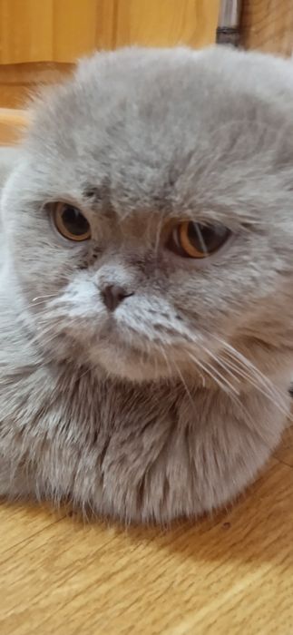 Kirish joyida kamerali jinsiy aloqa