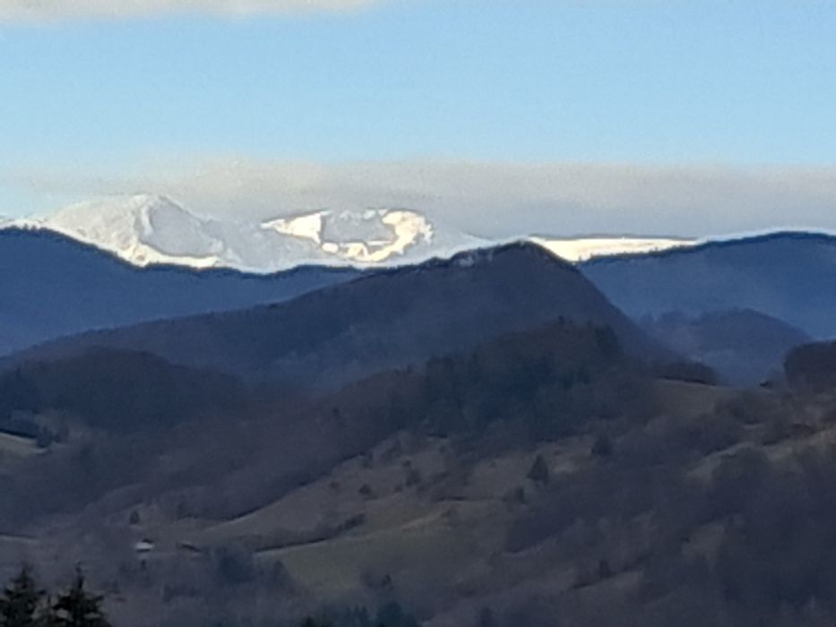 teren la munte Rucar-Moeciu-Bran