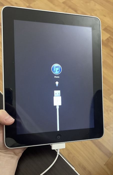 1st Gen iPad (A1219 64GB)