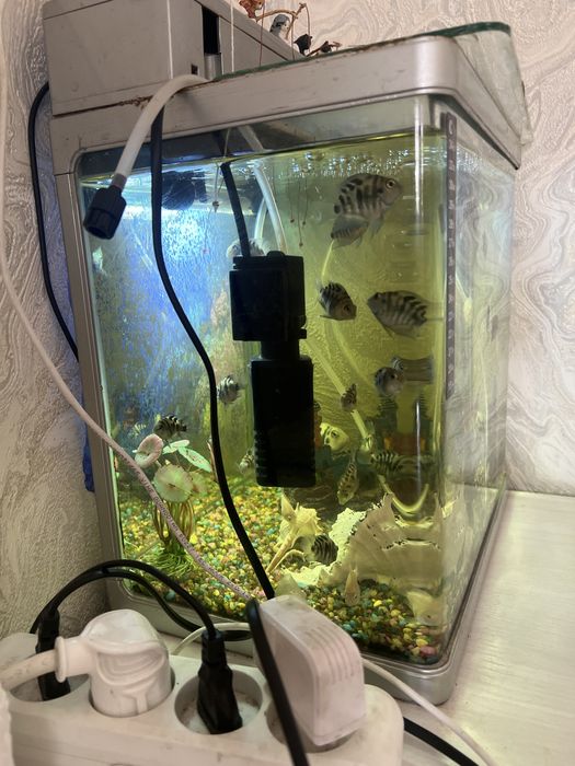 Аквариум 20 л грунт