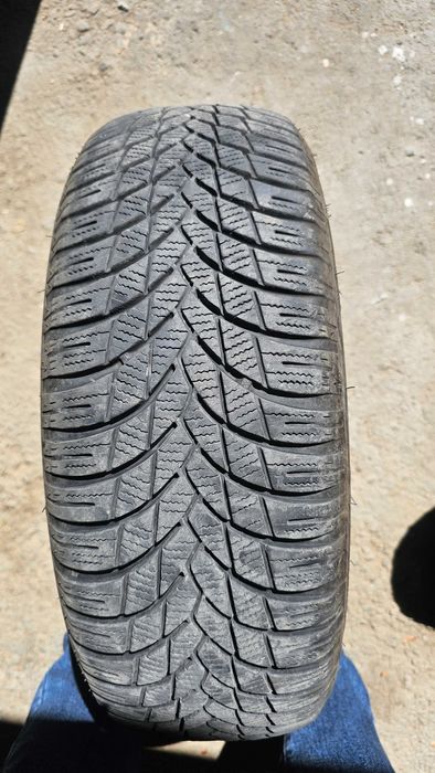 Балоны ласа r 14