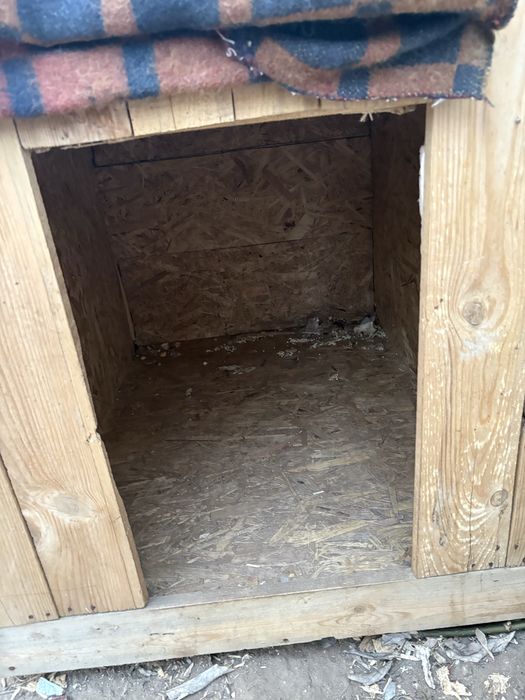 Будка для собаки