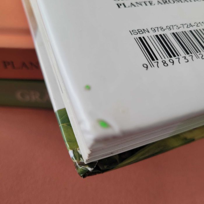 Pachet 5 cărți Dictionarul Dumont