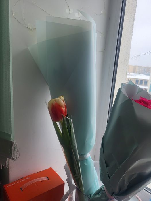 Цветы . Гул. Продам