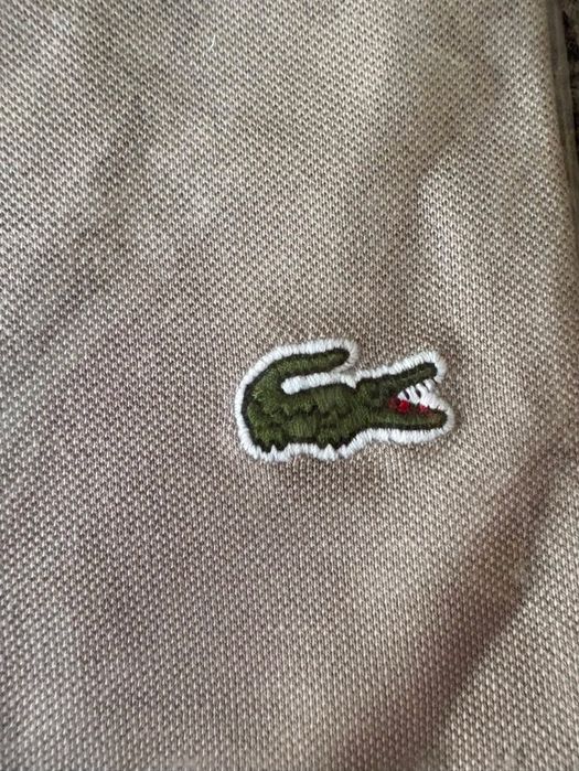 Lacost Polo Shirt