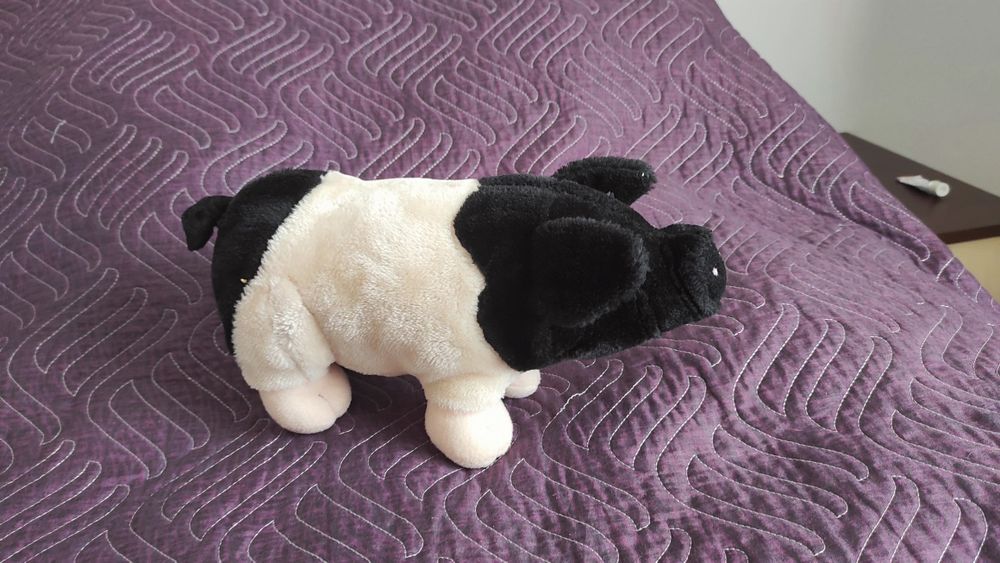 Animale de plus - porc