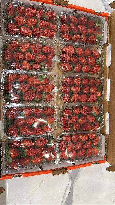 Клубника Египет