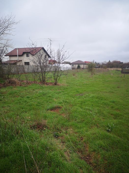 Teren de vânzare – Cornetu, Ilfov – Strada Bradului