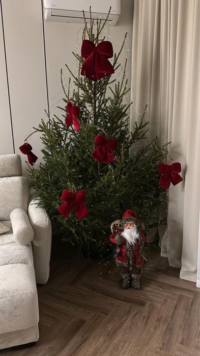 Елки новогодние ( живые)