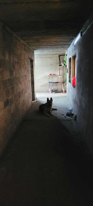 Продам теплицу в Рудном рассмотрю варианты