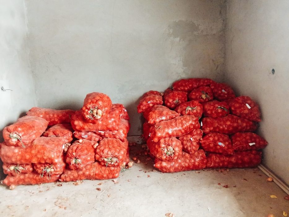 Лук сетка 1000тенге срочно