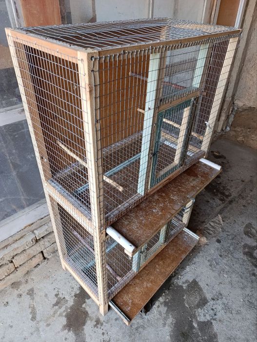 Кафас тути кушларга