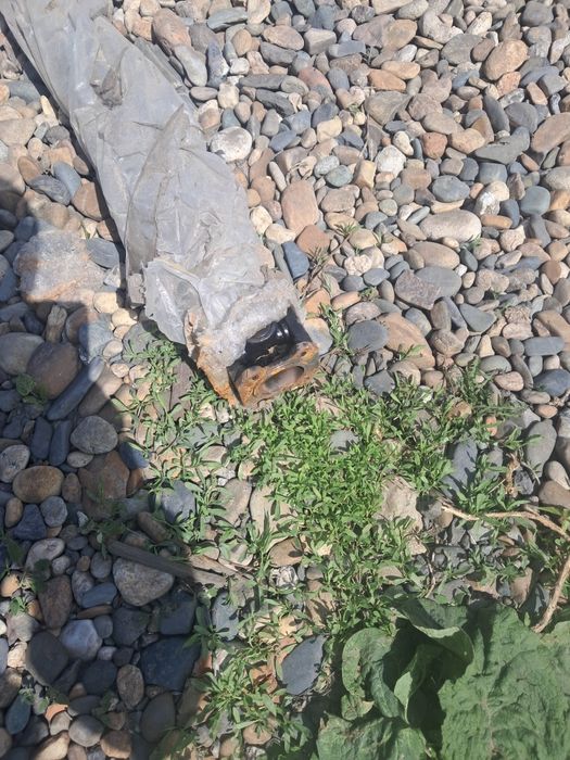 Продам кардан, удлинитель раммы на газель