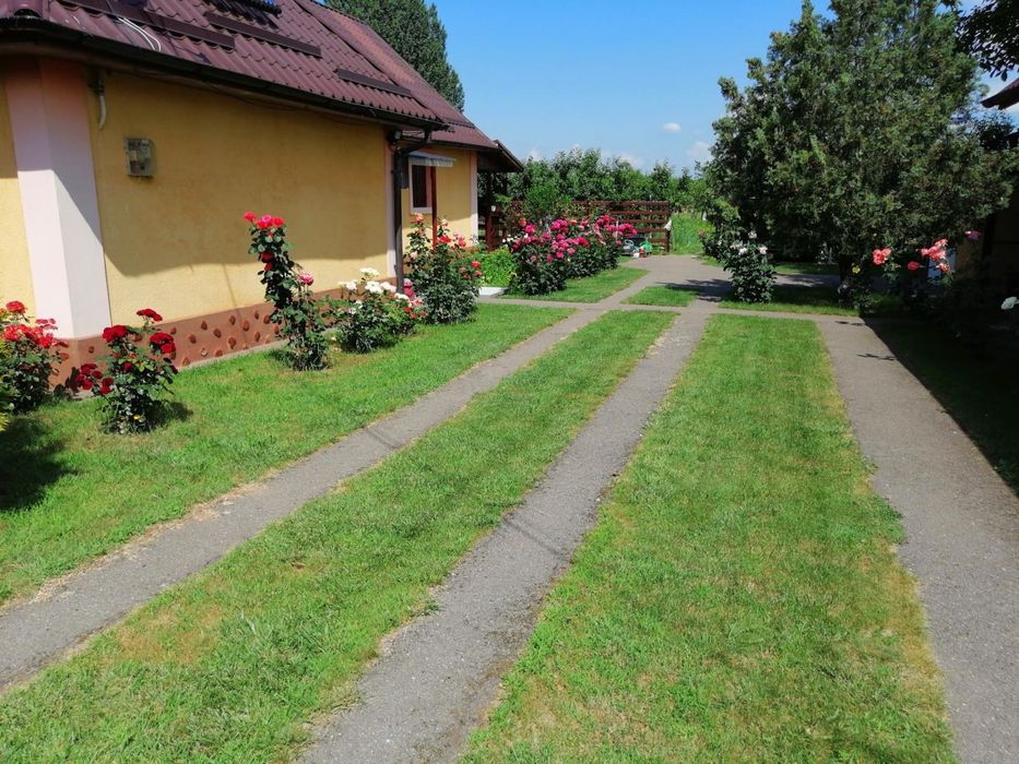 Vand casa in Sabolciu