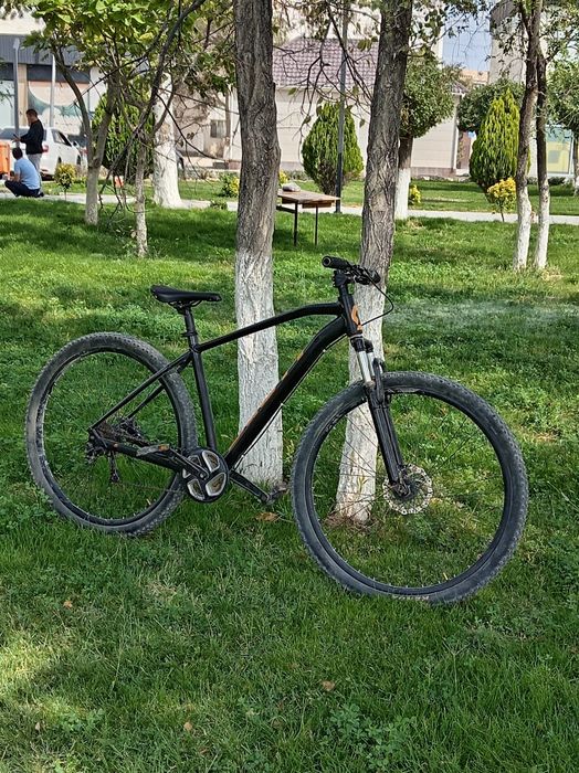 Scott aspect 970