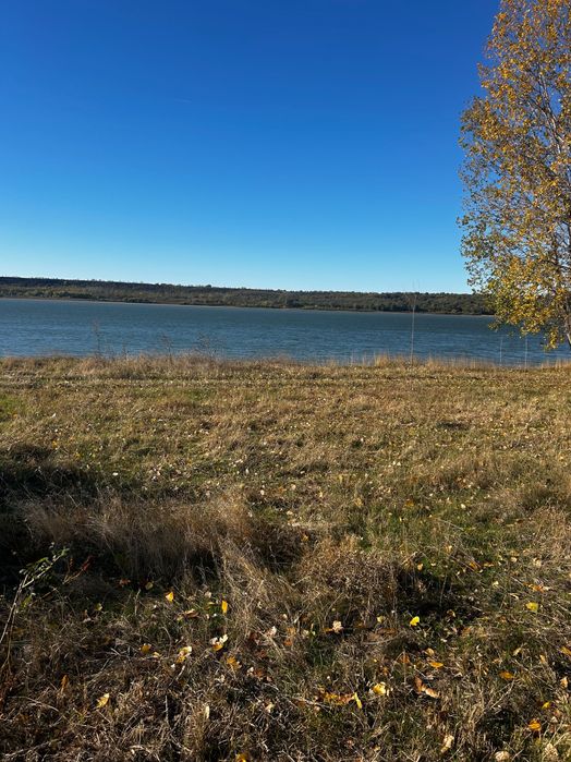 Teren direct la Dunăre