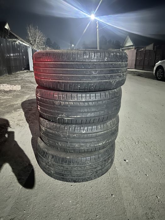 Донғалақ шины шины шины шины шины шины