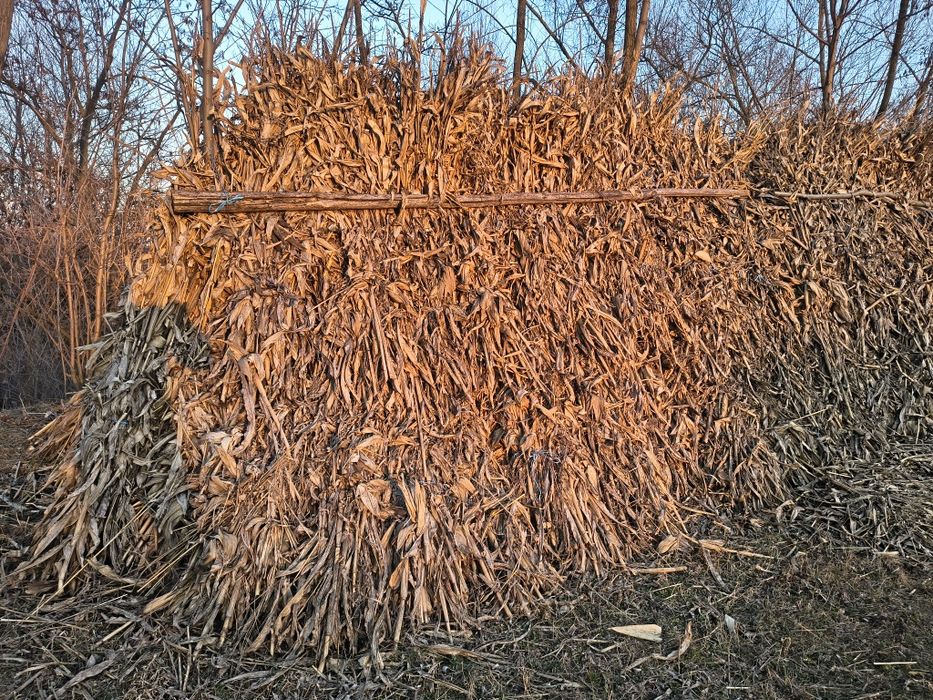 Baloți lucerna baloți de paie strujeni