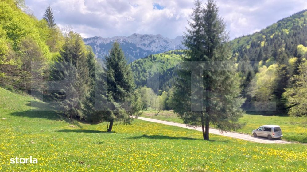 Teren exceptional de vanzare, 5.170 mp - zona Plaiu Foii, Zarnesti