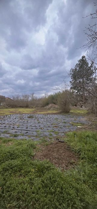 Къща с голям двор в село Добри дял