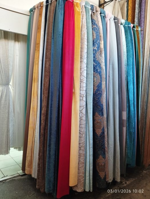 Pardalar xohlagan turdagi